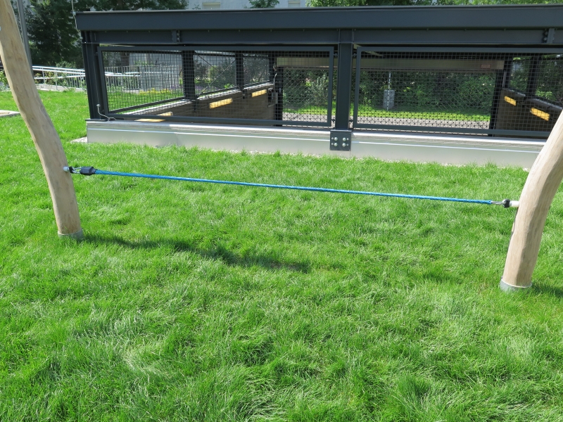 Motorik Slackline zwischen zwei Holzstehern auf einer Wiesenfläche